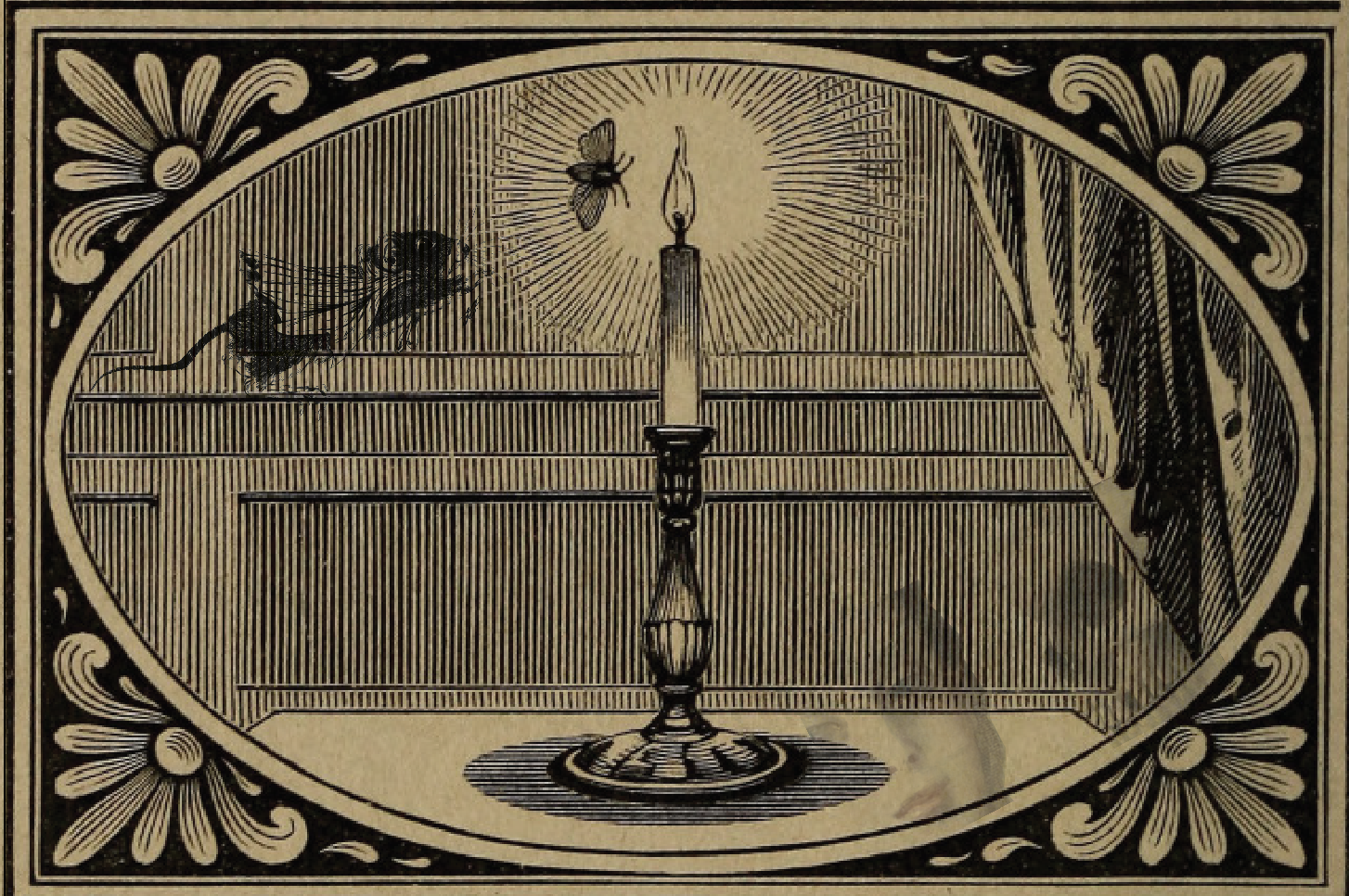 poems for winter light seekers