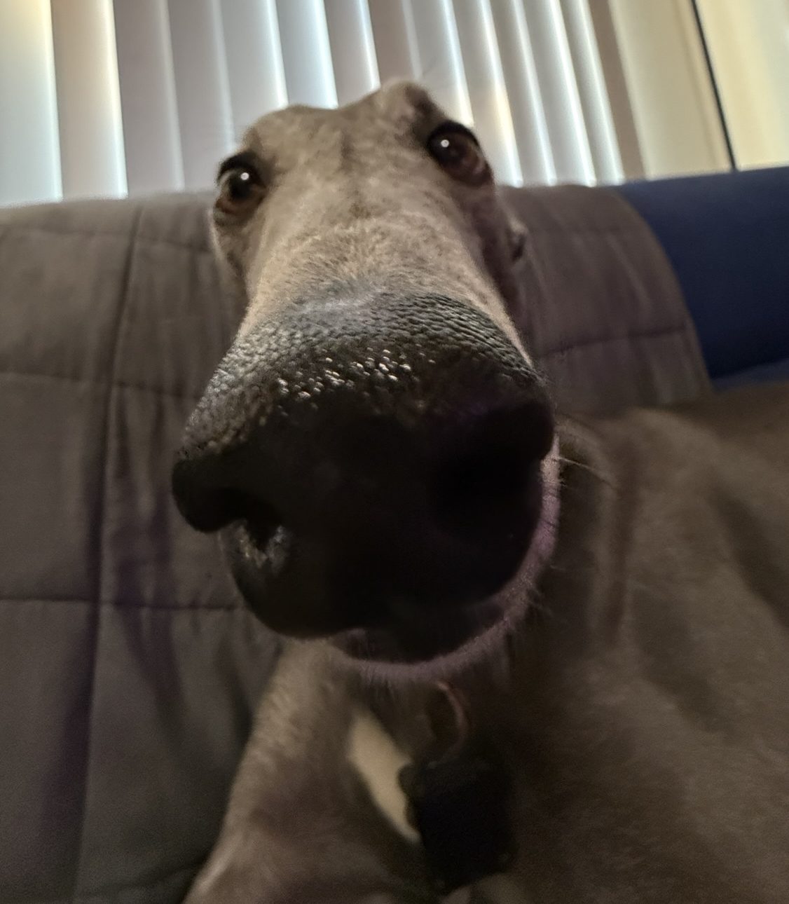 08-19-25 morning show – Yeah, we’re discovering things